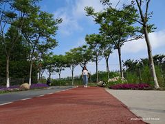 -上海长兴岛郊野公园