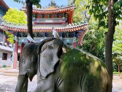 -西安大兴善寺