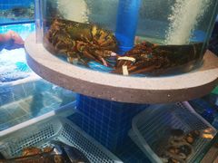 水产区-大哈福烧烤·海鲜·家常菜(延安三路店)