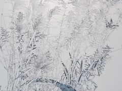 -中国美术学院-美术馆