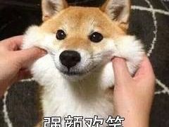 -北京邮电大学