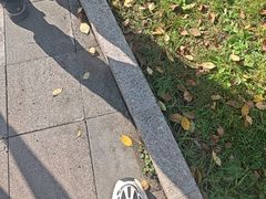 -横道河子东北虎林园