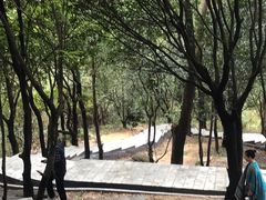 -火炉山森林公园