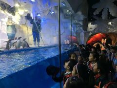 -华夏文旅海洋公园