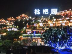 -枇杷园食为鲜火锅(南山店)
