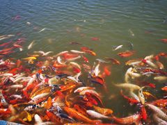 -北戴河圣蓝海洋公园