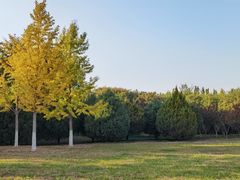 -永定河休闲森林公园