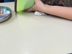 -瑞派动物医院·猫专科·至诚(江南中分院)