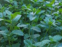 -爱啤精酿·民谣酒馆(滨江店)