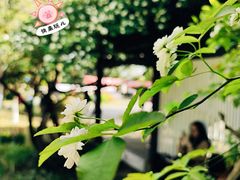 -成都市文化公园