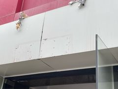 -哆趣宠物医院·眼科·内镜·急重症转诊中心(上海店)