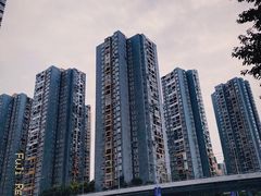 -重庆彩云湖湿地公园