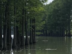 -苏州太湖国家湿地公园
