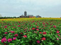 -长春北湖公园