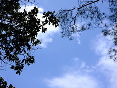 -石门洞景区