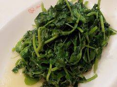 清炒豆苗-永兴餐厅(复兴中路店)