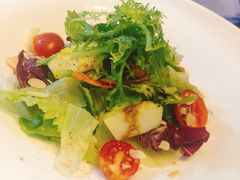 田园蔬菜沙拉-厚积云牛排餐吧(宽窄巷子店)