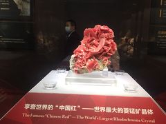 -湖南省地质博物馆