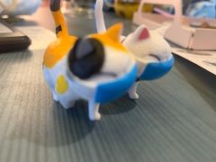 -喵屿·大理花园猫咖