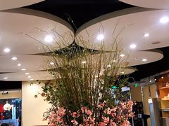 -黑松白鹿(崇文门新活馆店)