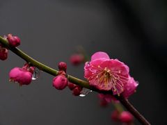 -静安雕塑公园