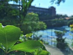 教学楼-厦门大学(思明校区)