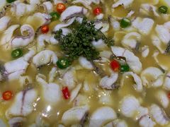 -青花椒花椒鱼(合生汇店)