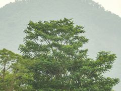 -白石龙音乐公园