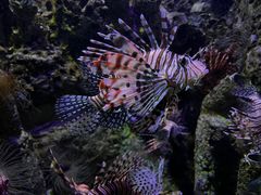 -太平洋海底世界