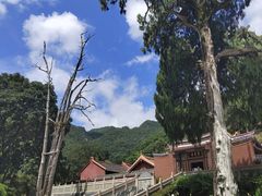 -灵光寺