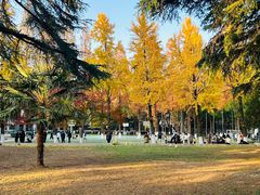 -苏州大学(天赐庄校区)