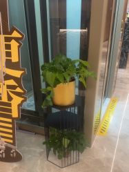 -柠润·Onda塑形·海菲秀·科技美肤中心