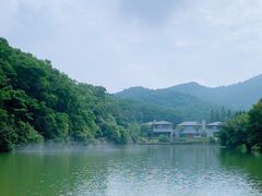 -云溪植物园