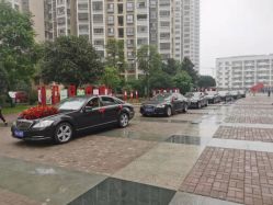 -蚂蚁婚车