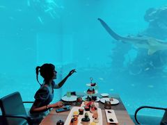 -海棠湾洲际-涛·海底餐厅·美人鱼·自助餐·海底隧道