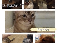 -萌喵咖啡屋(人民东路4号口M16商铺店)