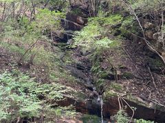 -驼梁风景区