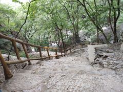 -北京上方山国家森林公园