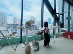 -怪兽屋·羊驼·猫咖·狗咖(俊华广场店)