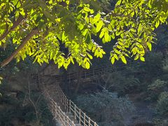 -黑龙潭风景区