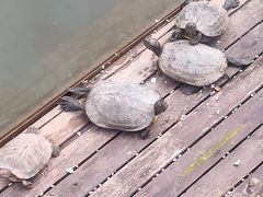 -丝绸小镇荻港古村
