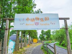 -前小桔亲子创意农场·草莓采摘·露营烧烤