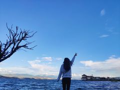 -才村湿地公园