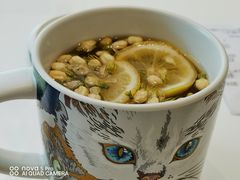 -飞行喵MR PILOT|猫舍·猫咖(静安大融城店)