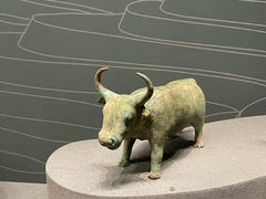 -广西壮族自治区博物馆