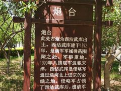 -桃花堤公园