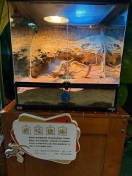 -酷嗒动物文化乐园(cutezoo西溪乐天城店)