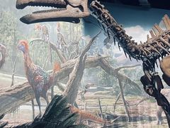 -辽宁古生物博物馆
