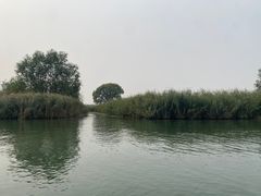 -白洋淀景区