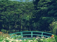 -顺峰山公园